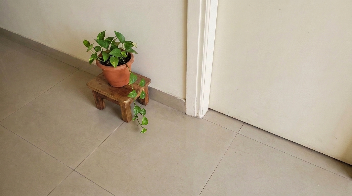 Small potted plant on a low wooden stool positioned to one side of an apartment door.