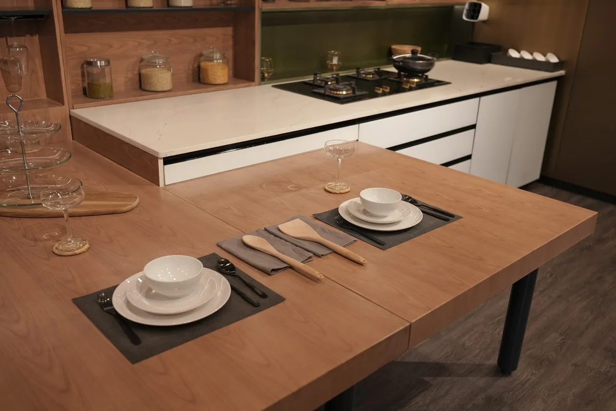 Wudless SS Modular Kitchens & Wardrobes - Interior Design Studio project 3