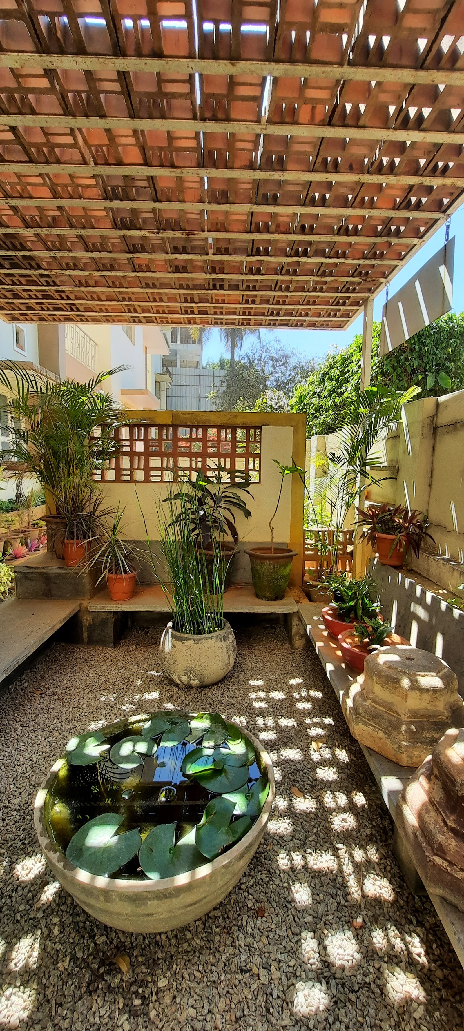 Portfolio — photo