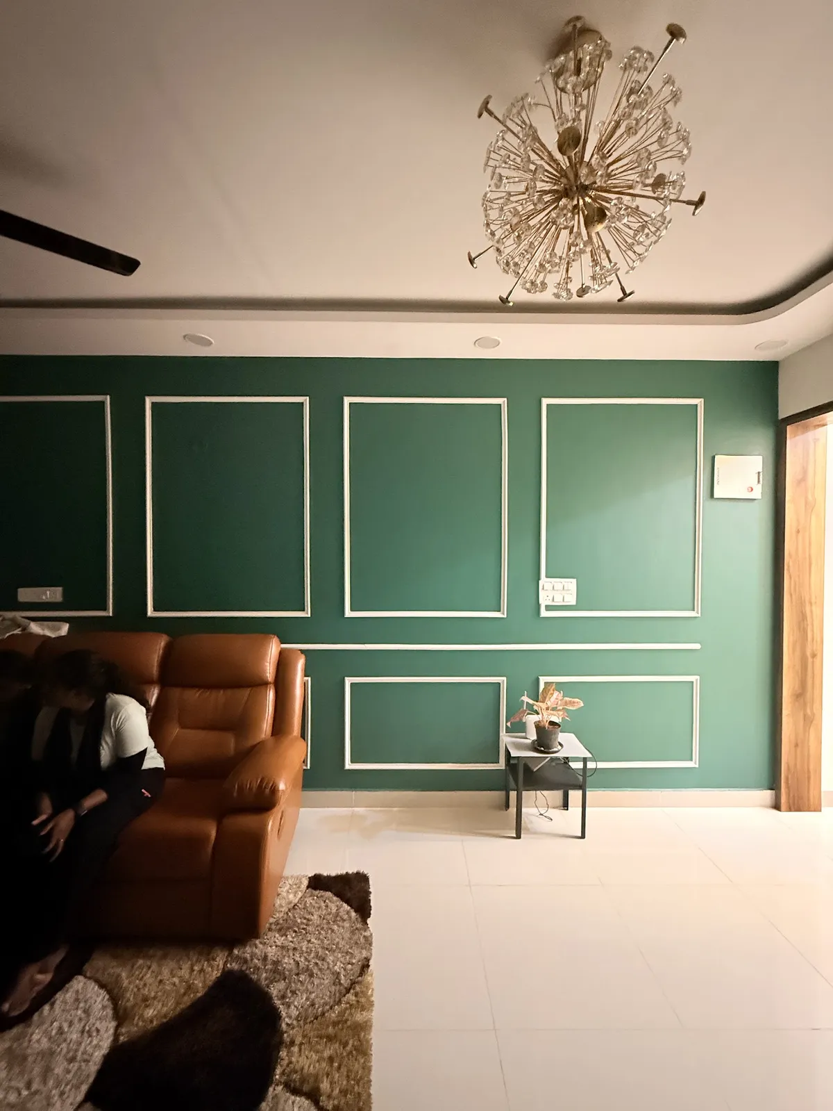 Living room with an emerald wall laid out in slim white moulding frames above a chair rail, a tan leather recliner sofa on a shaggy rug