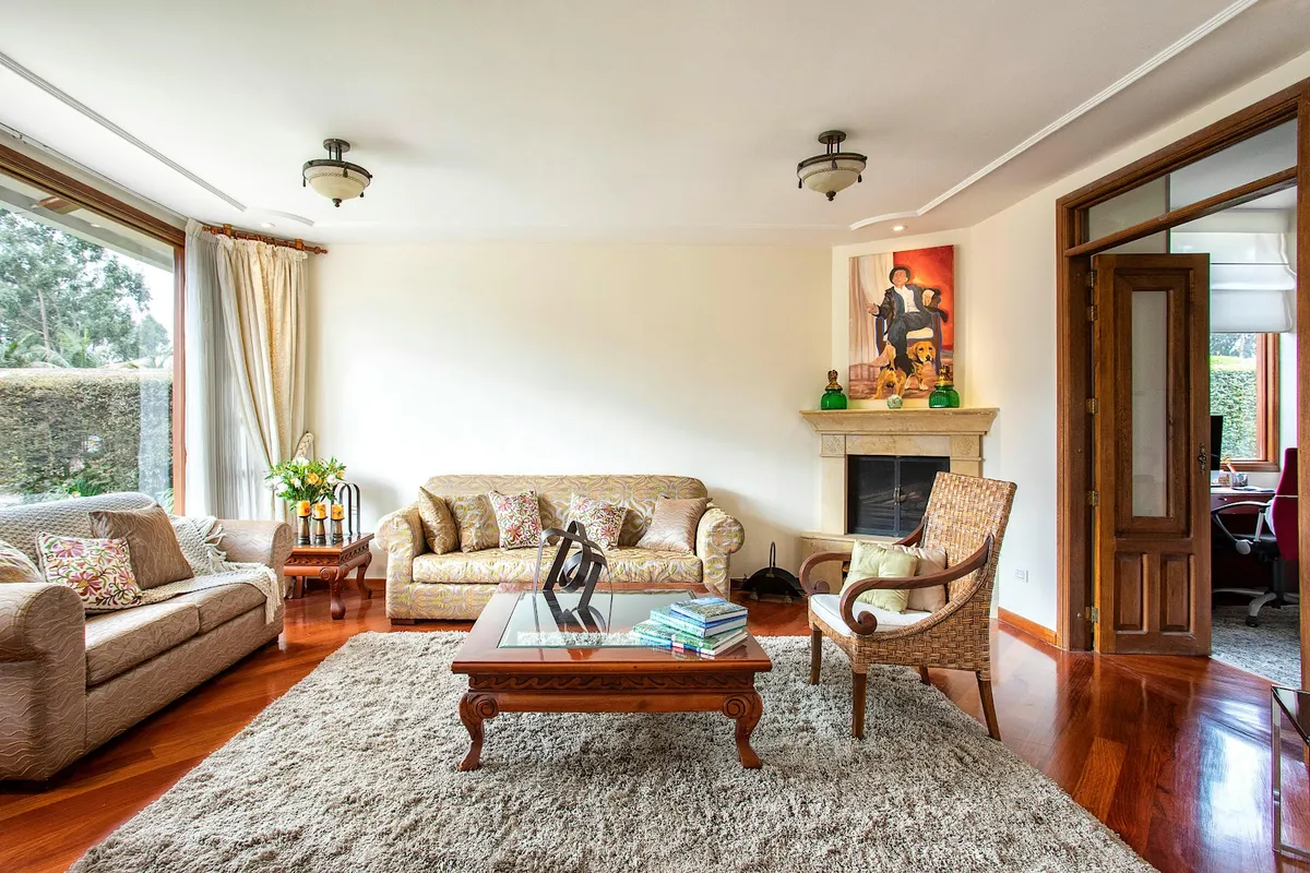 Family living room with a cream stone fireplace under a portrait of a man with two dogs