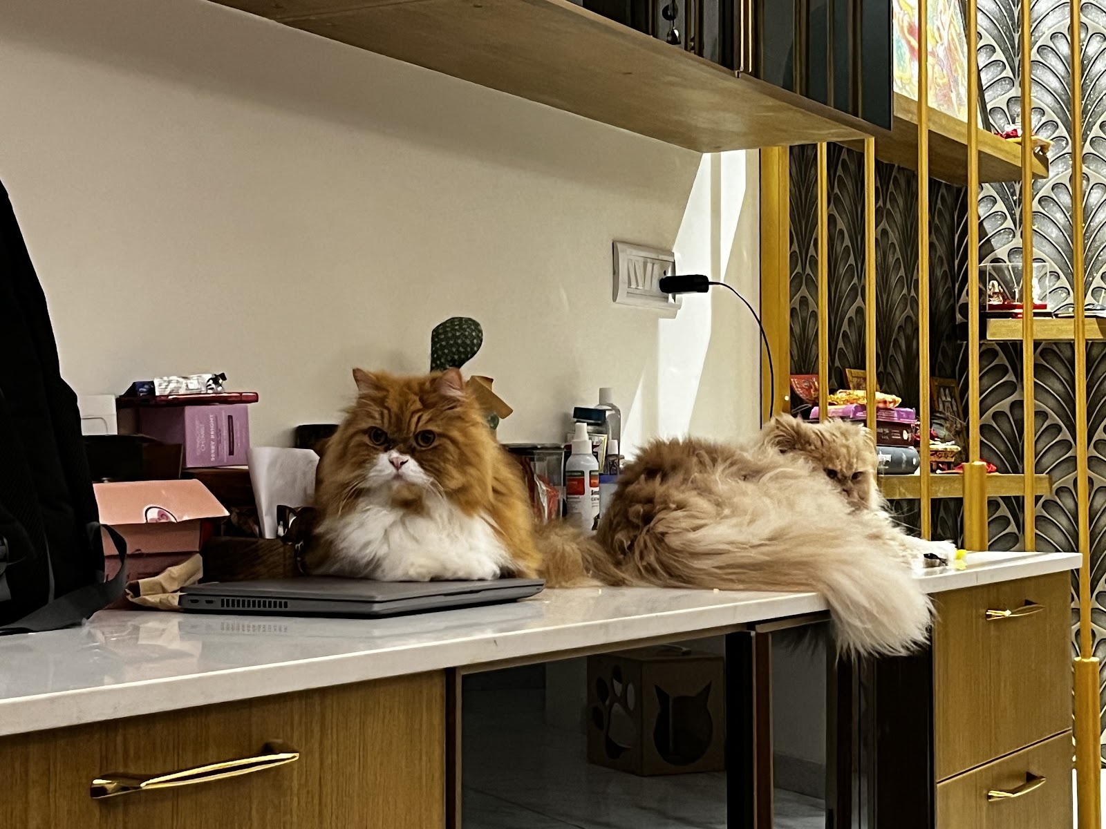 Portfolio — photo