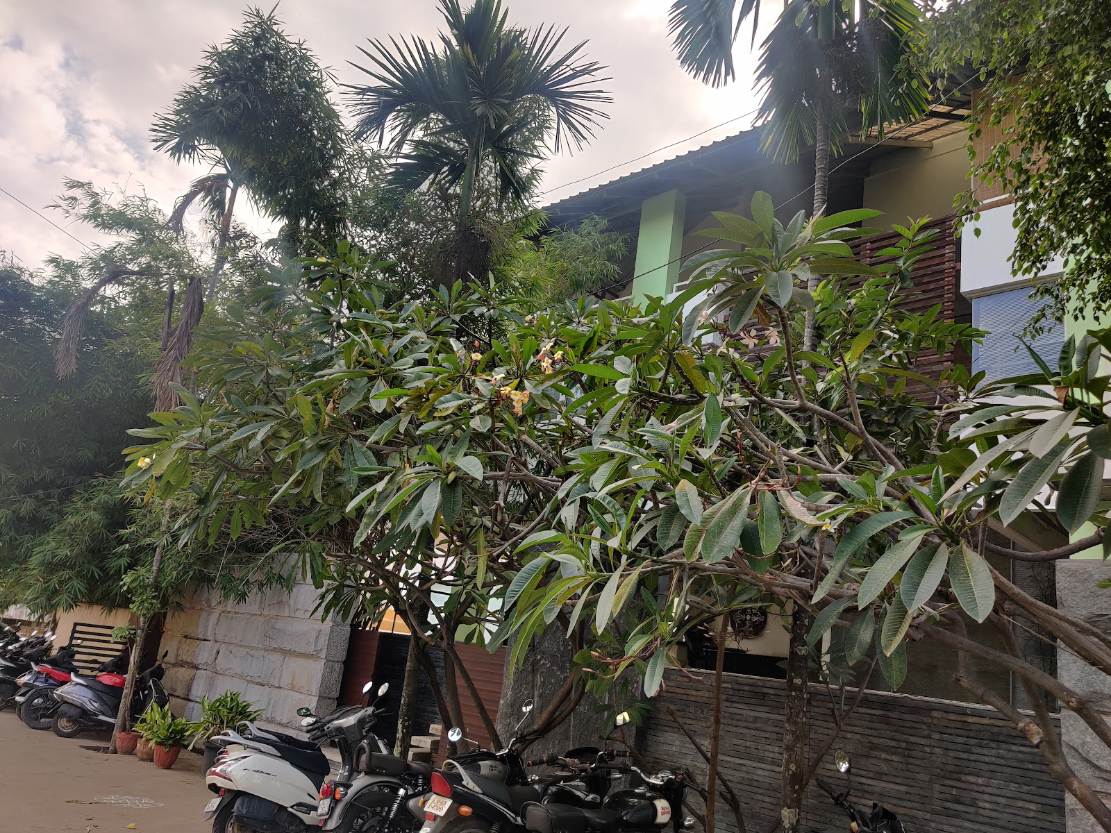 Portfolio — photo