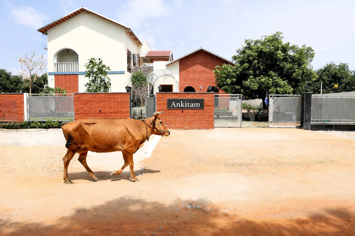 The Banyan Studio project 1