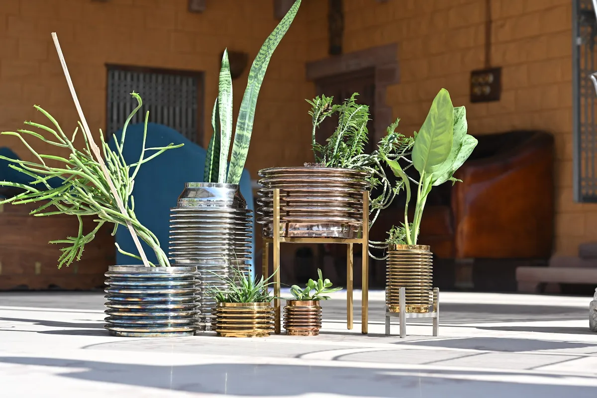 Saara Design Studio project 1