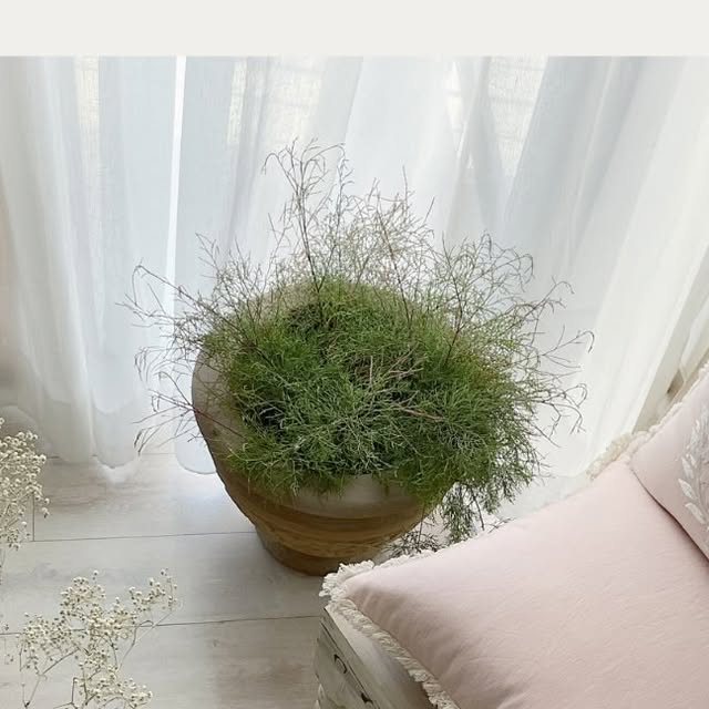 Studio Covers on Instagram