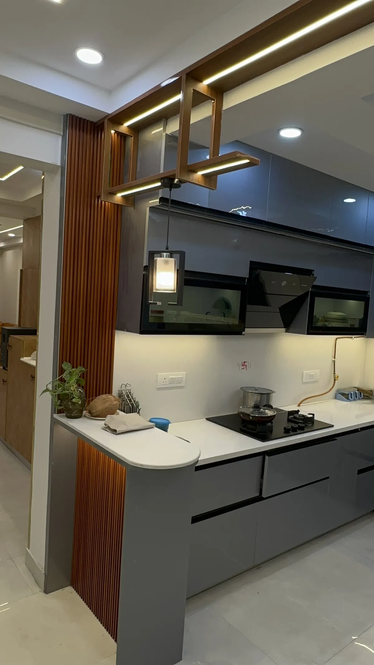 Avni Interior project 1
