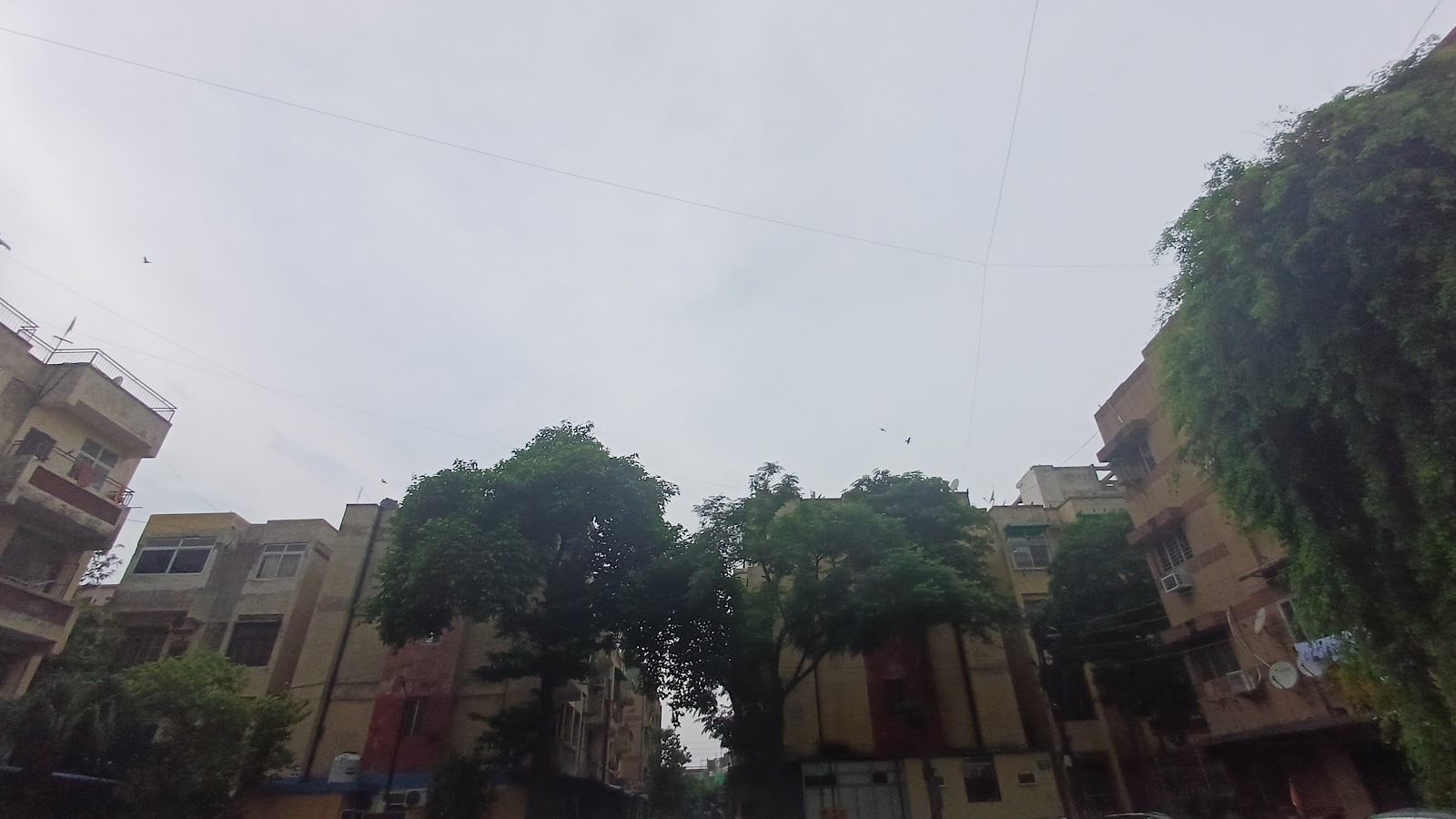 Portfolio — photo