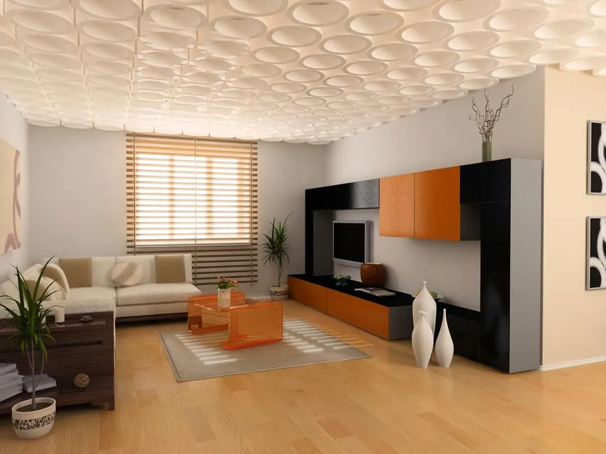 Futomic Design Services Pvt Ltd. project 1