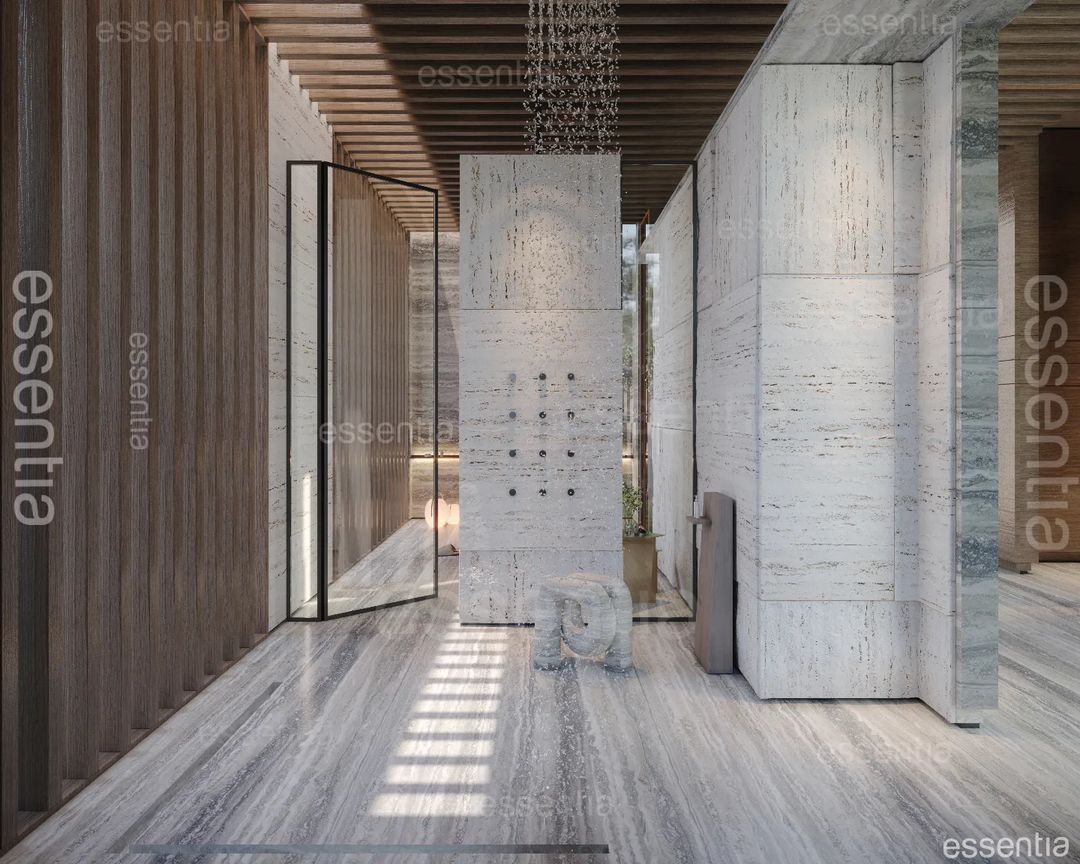 essentia project 3