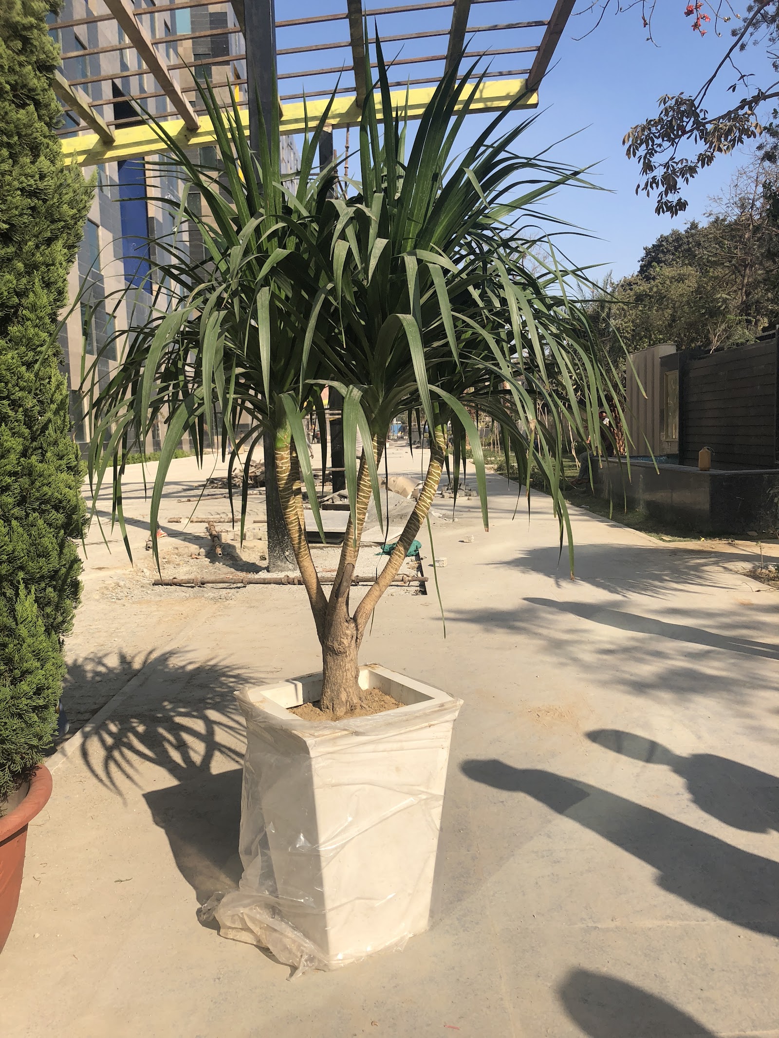 Wedecor8 | Corporate Office Interior Designers Gurgaon Delhi |Moss wall, Landscape, Vertical Garden Designer Gurgaon Del